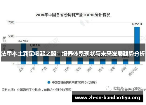 法甲本土新星崛起之路：培养体系现状与未来发展趋势分析