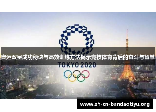 奥运双星成功秘诀与高效训练方法揭示竞技体育背后的奋斗与智慧