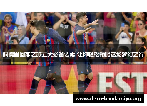 佩德里回家之旅五大必备要素 让你轻松领略这场梦幻之行