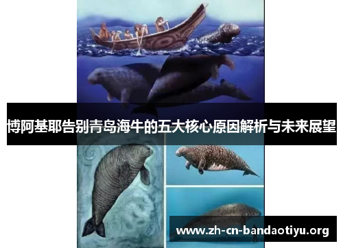 博阿基耶告别青岛海牛的五大核心原因解析与未来展望