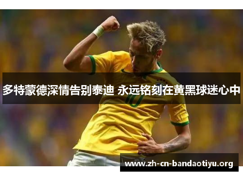 多特蒙德深情告别泰迪 永远铭刻在黄黑球迷心中