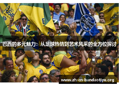 巴西的多元魅力：从足球热情到艺术风采的全方位探讨