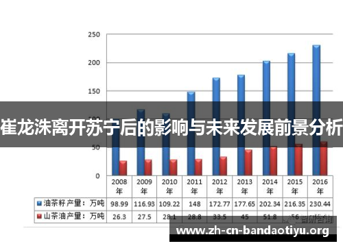 崔龙洙离开苏宁后的影响与未来发展前景分析