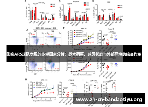 影响ARS球队表现的多重因素分析：战术调整、球员状态与外部环境的综合作用