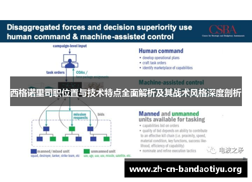 西格诺里司职位置与技术特点全面解析及其战术风格深度剖析